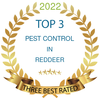 Pest Control Red Deer