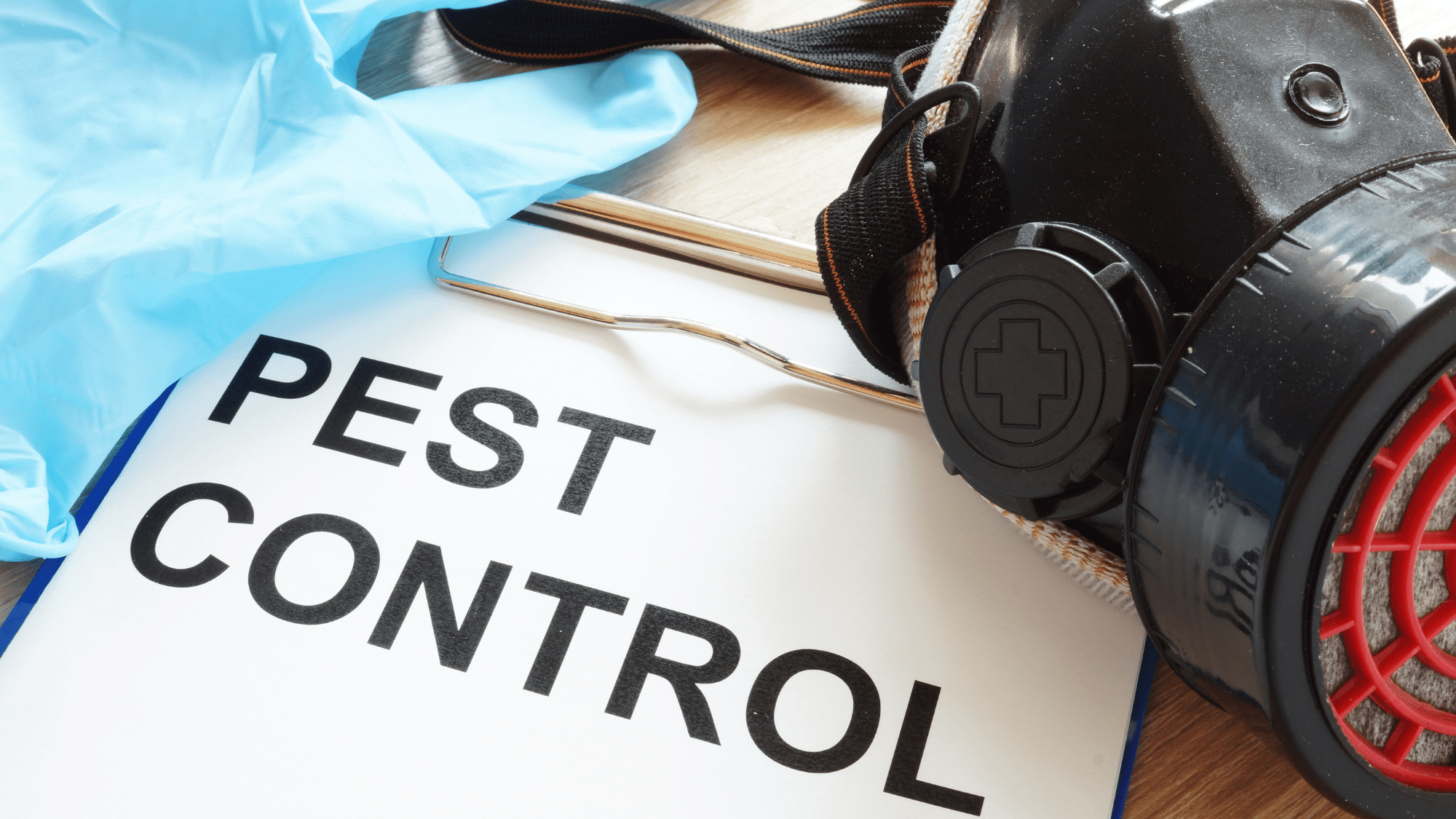 What Qualities Should A Reputable Pest Control Company Have?